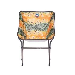 Big Agnes Mica Basin Camp Chair -Outdoor Sports Equipment Shop Mica Basin Camp Chair Brown Trout Front 10374.1617645087