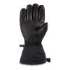 Dakine Phoenix GORE-TEX Glove 1 Dakine Phoenix GORE-TEX Glove -Outdoor Sports Equipment Shop PHOENIXGORETEXGLOVE BLACK 194626407050 10003537 BLACK 22M BACK copy 04980.1628807182